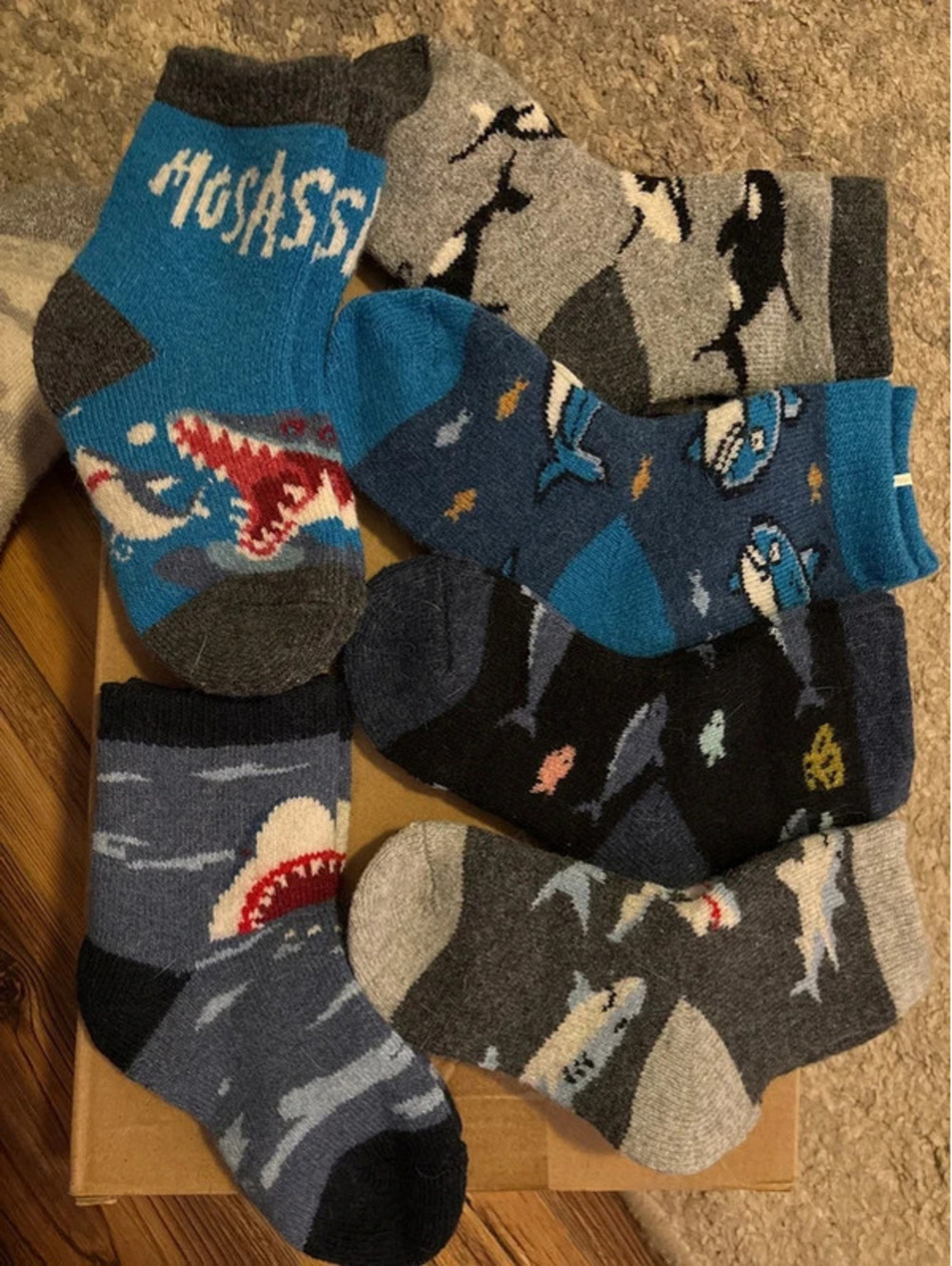 Novelty Socks Cotton Blend, 5 pkg
